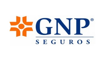 GNP-SEGUROS-makahemx-asesores-documentacion-perdida-total-colision-y-robo